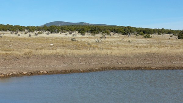 7,320 Acres Offered in 5 Tracts